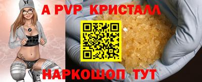 СК Краснознаменск