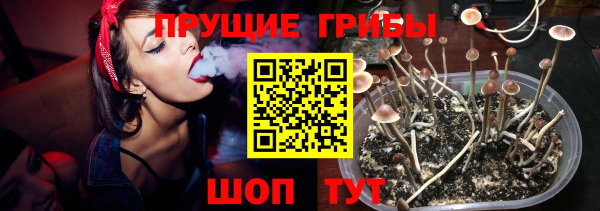 Псилоцибиновые грибы ЛСД Камень-на-Оби